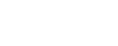 Logo Dragon Chino